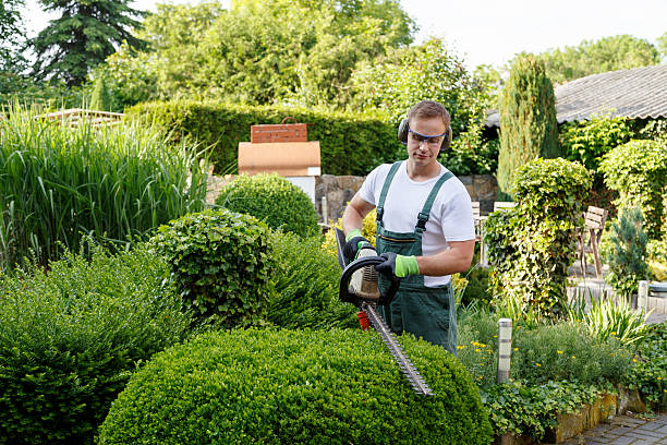 Best Organic Lawn Care Solutions  in Brewster, OH